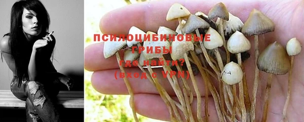 марихуана Абаза